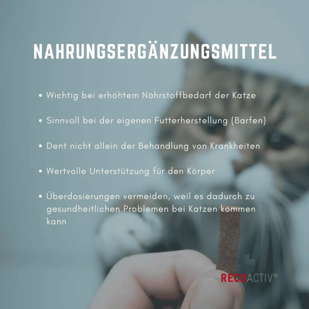 Infografik Nahrungsergänzung für Katzen