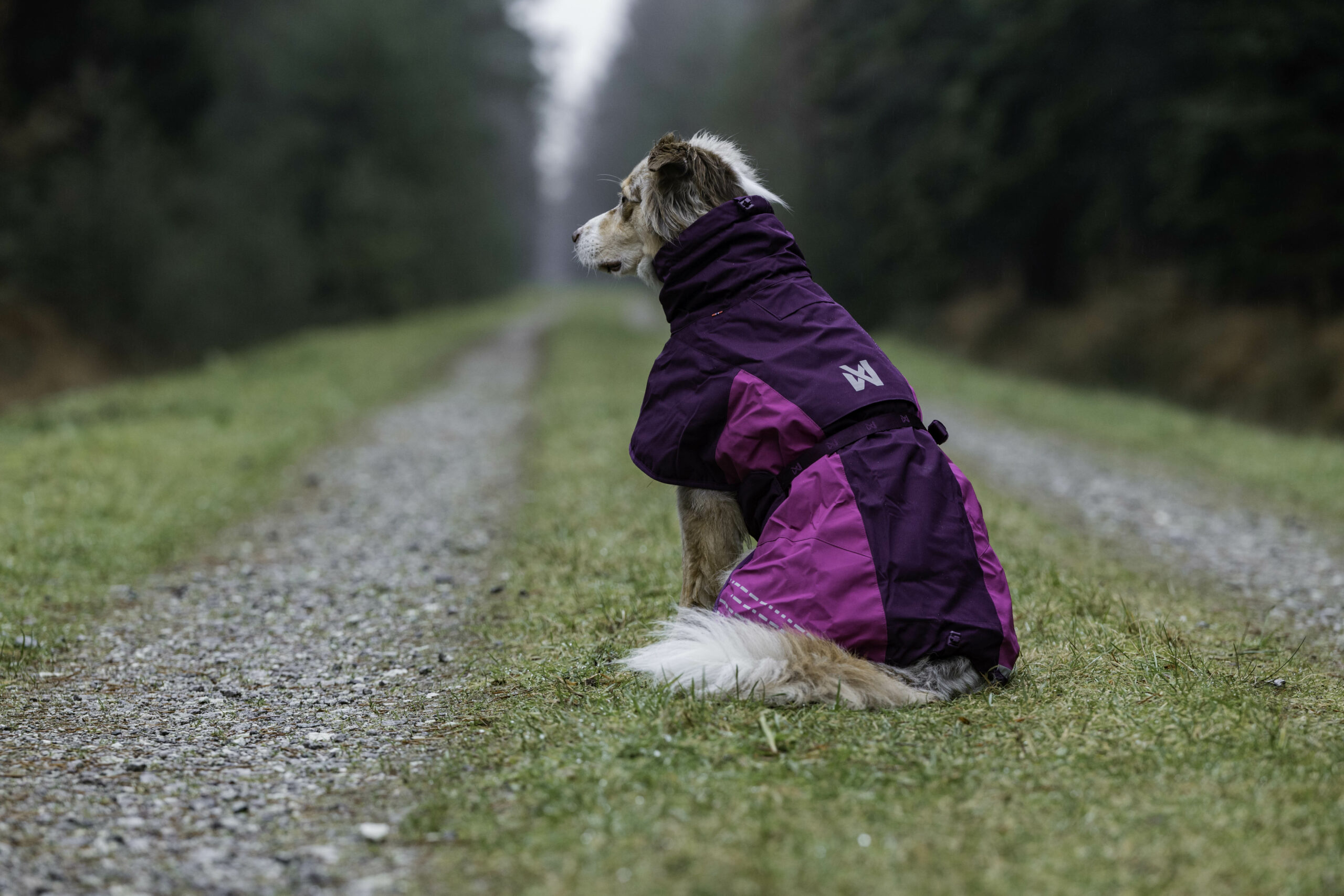 Wintermäntel für Hunde von Nonstopdogwear Glacier 2.0 jacket