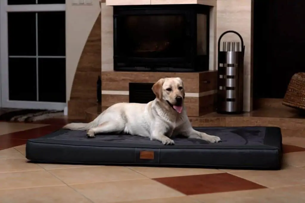 Oscar VIP Ortho Hundebett