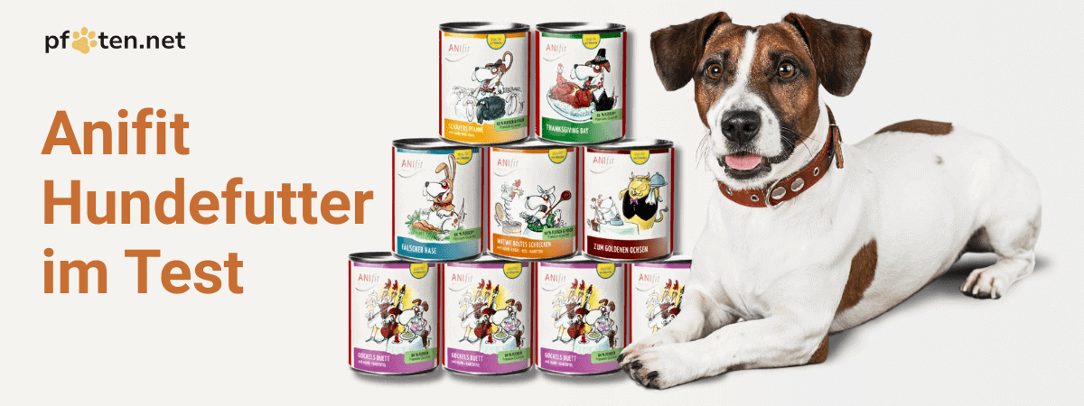 Anifit Hundefutter Test