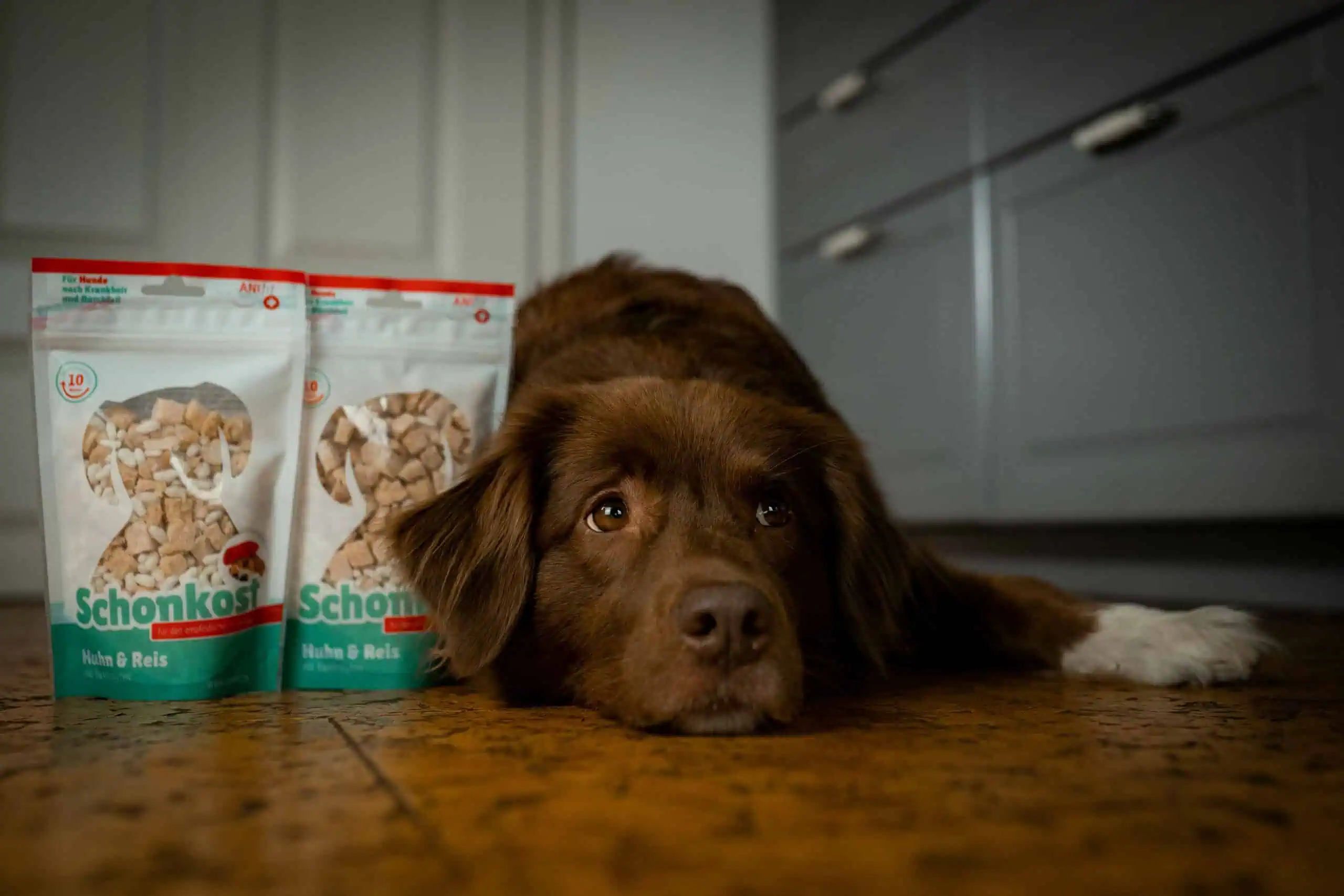 ANIfit Schonkost Erfahrungen