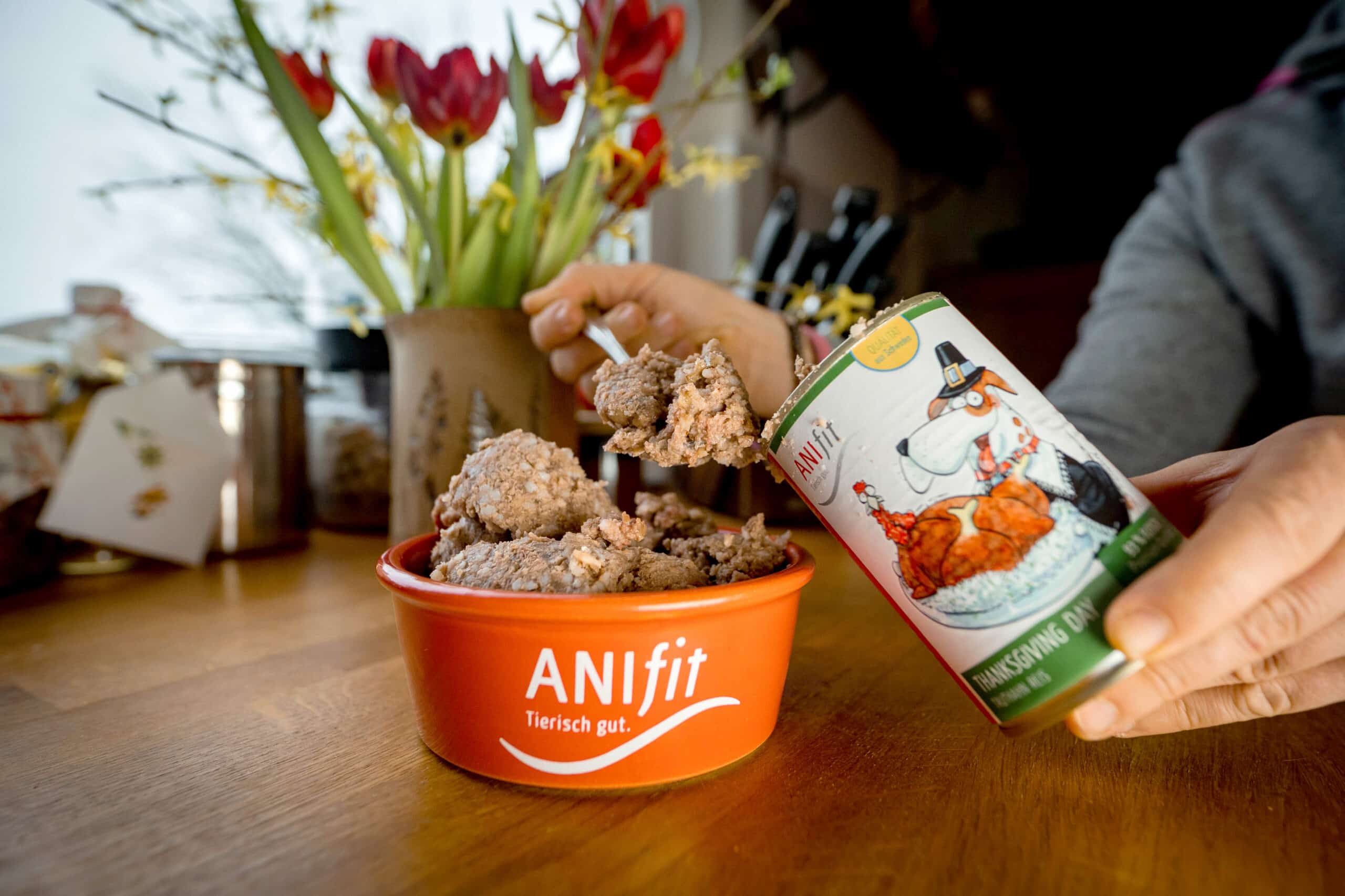 ANIfit Hundefutter Test Thanksgiving Day