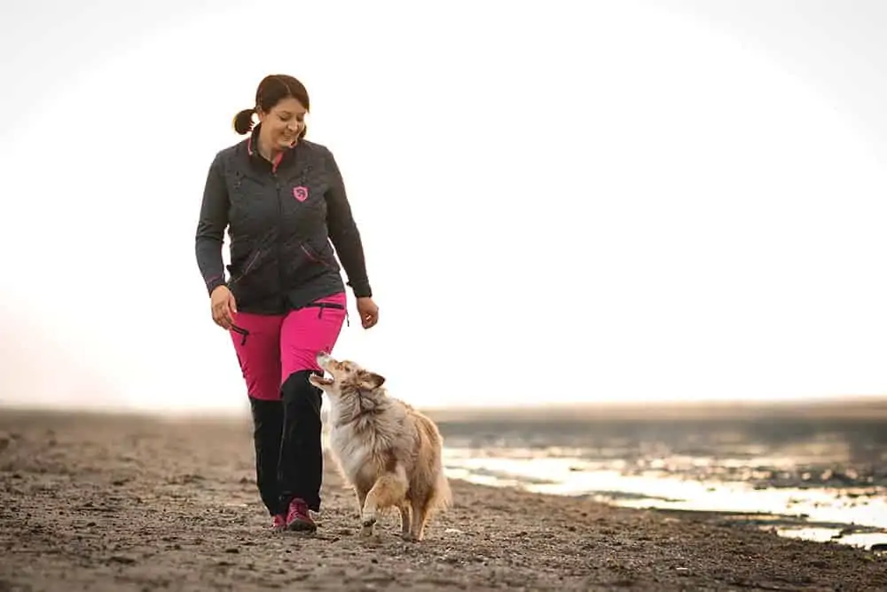 Übergewicht beim Hund - sorge für Bewegung
