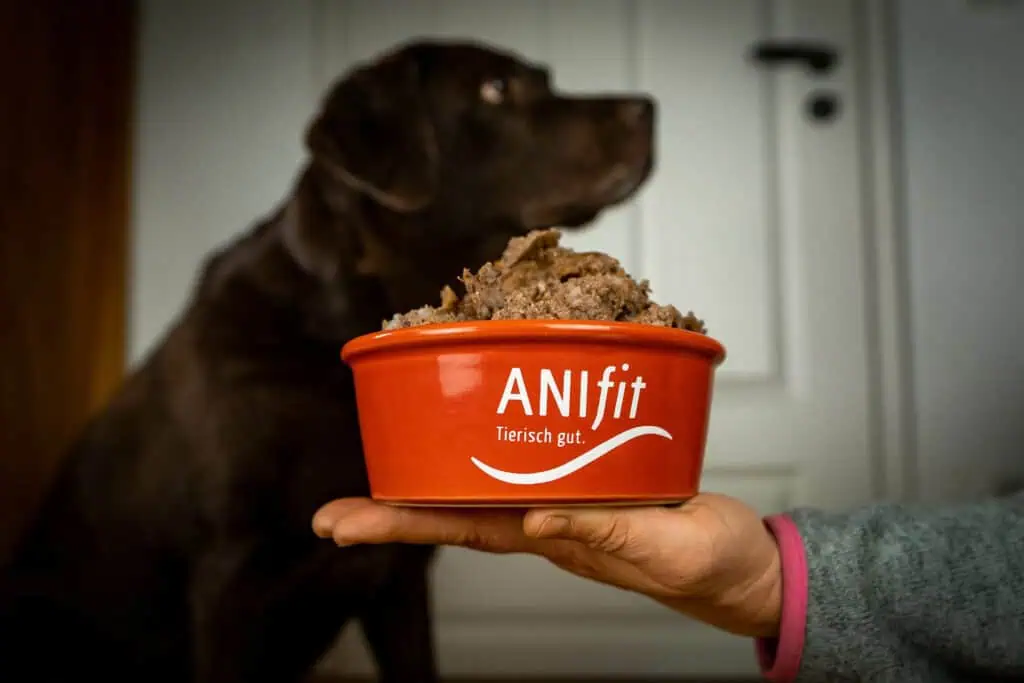 ANIfit Futterrechner – 4 Klicks zur optimalen Futterration für Hunde