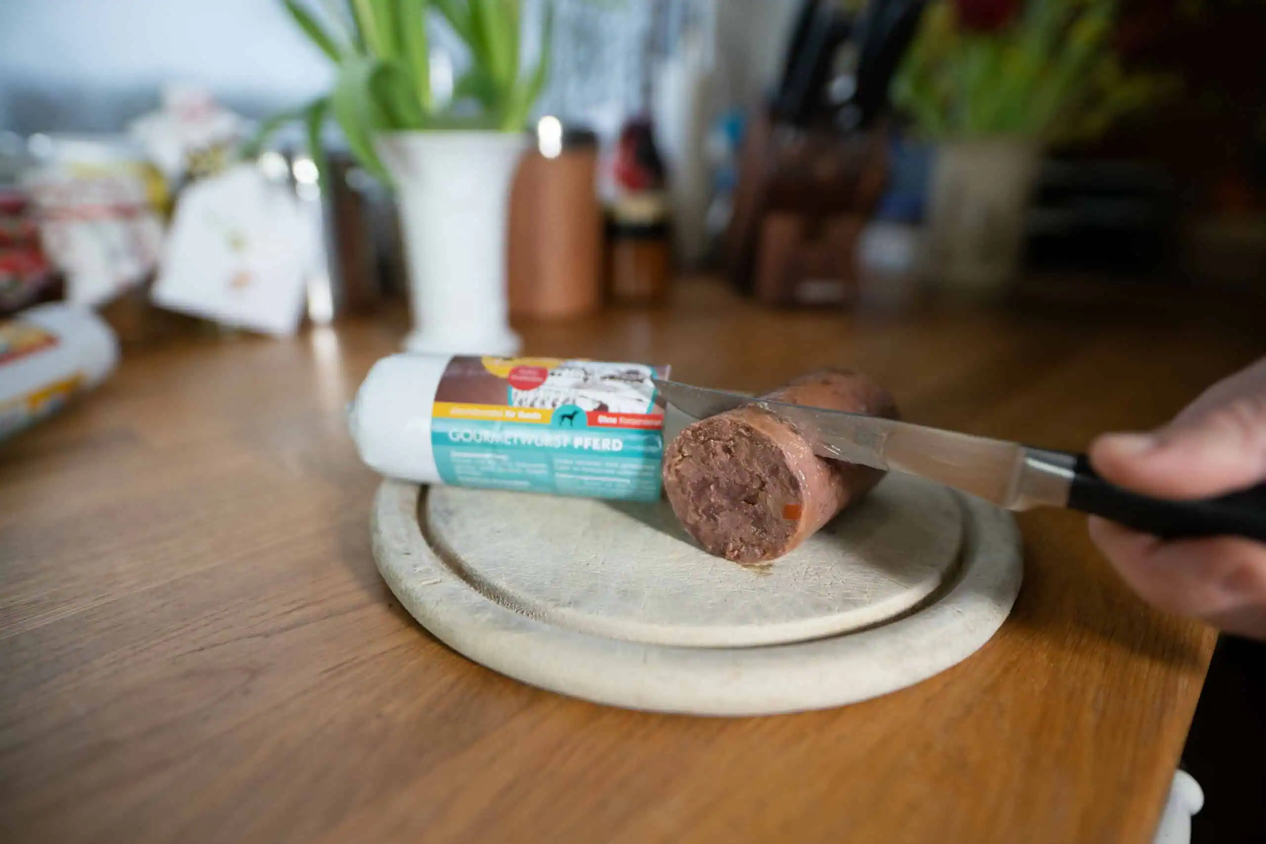 Hund erbricht morgens abends noch Snack geben