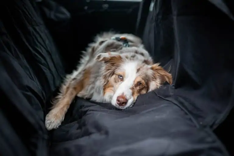 Autoschondecke von Floxik