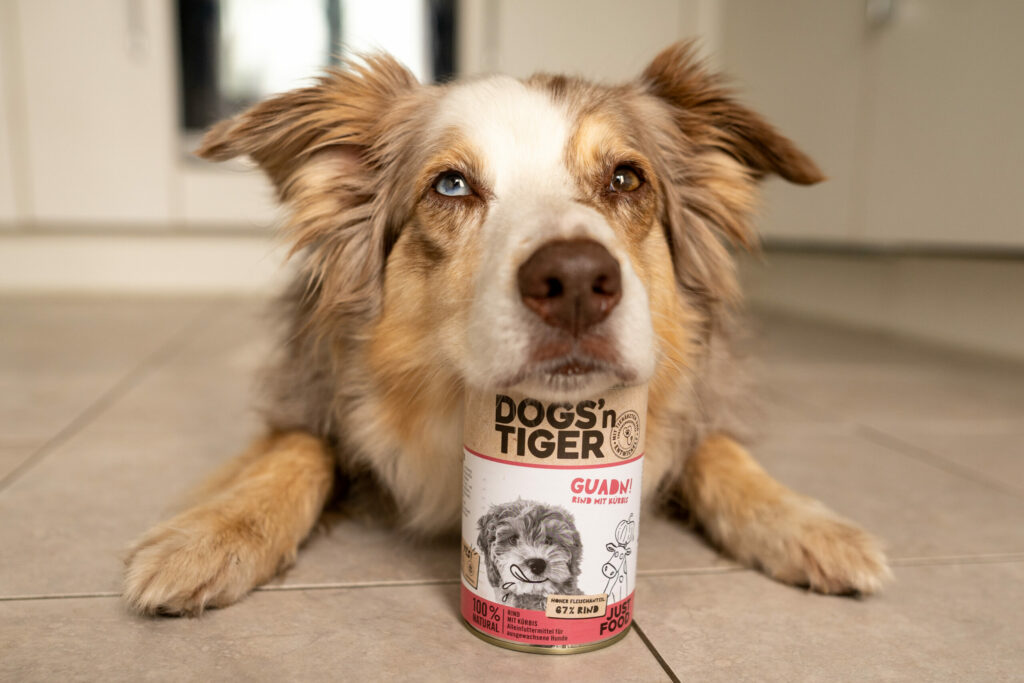 Dogs’n Tiger Guadn Rind mit Kürbis Nassfutter Test