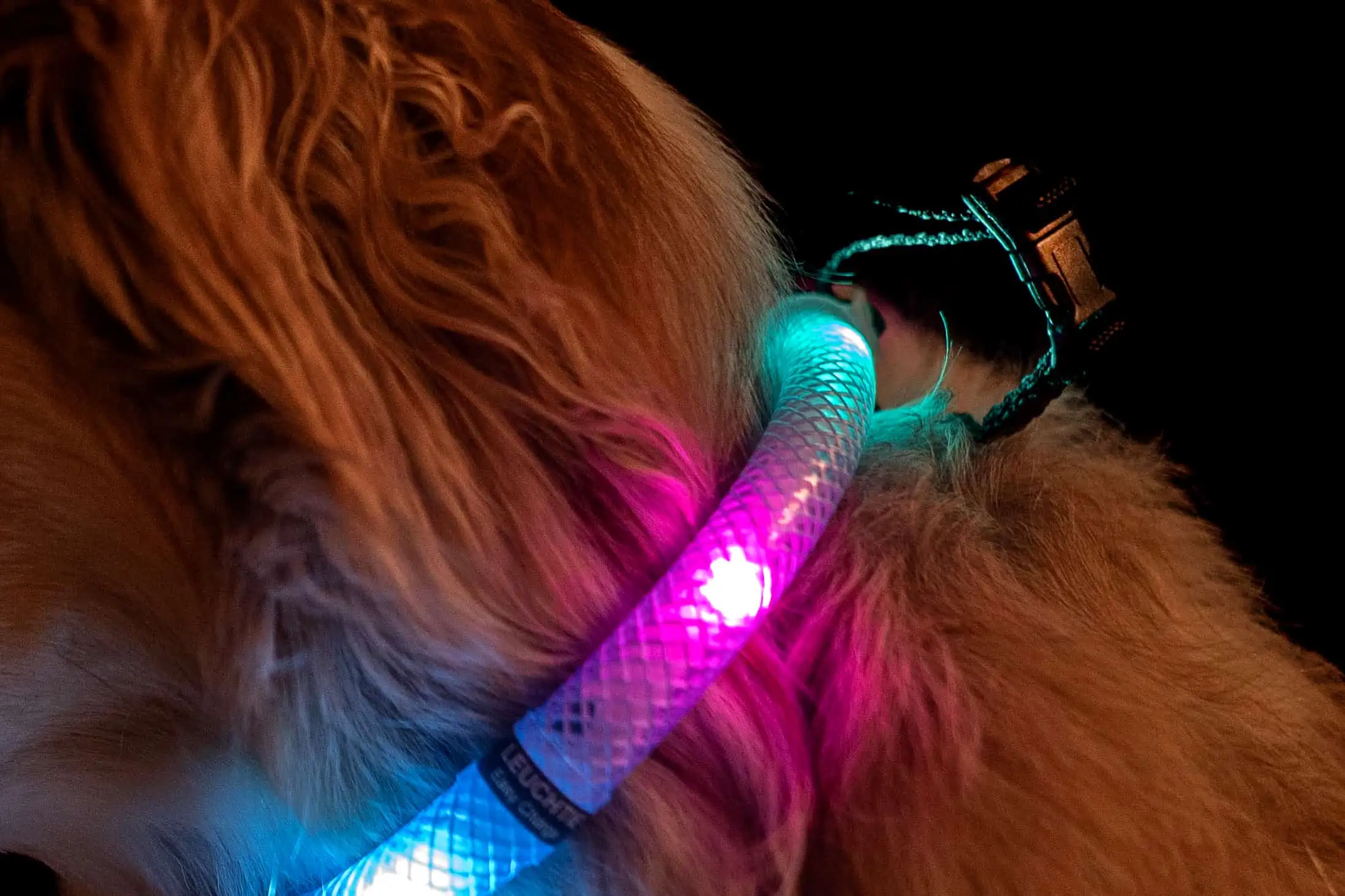 LEUCHTIE Befestigungsschnalle