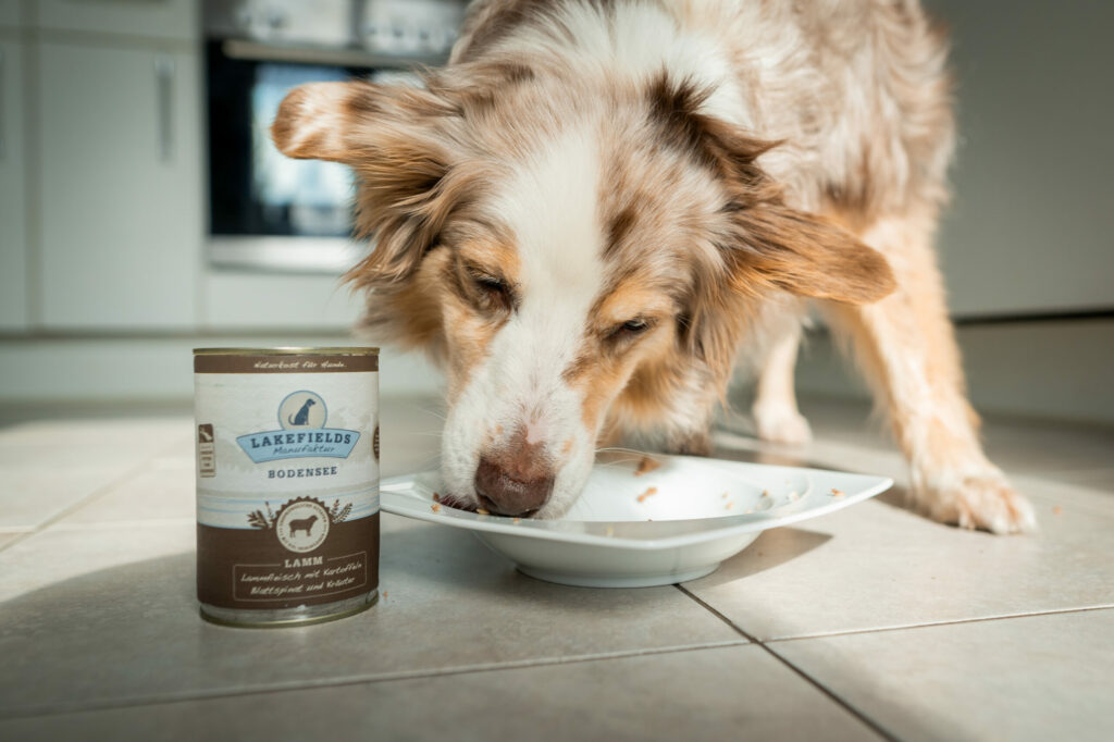 Lakefiels Manufaktur Lamm Nassfutter Menü im Test