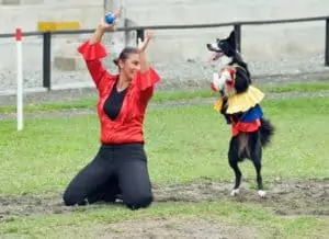 Hund und Frau beim Dogdance