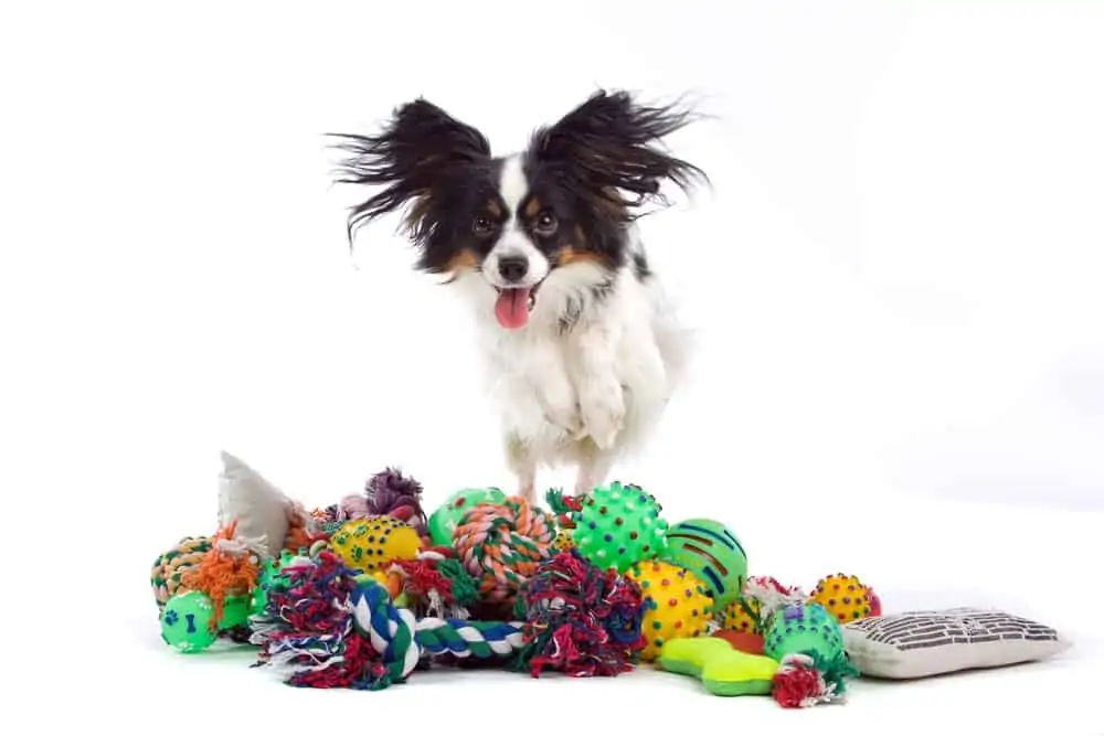 Spielzeuge für Hunde selber machen