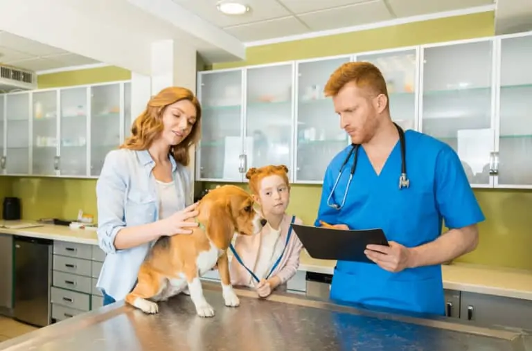 Hundekrankenversicherung