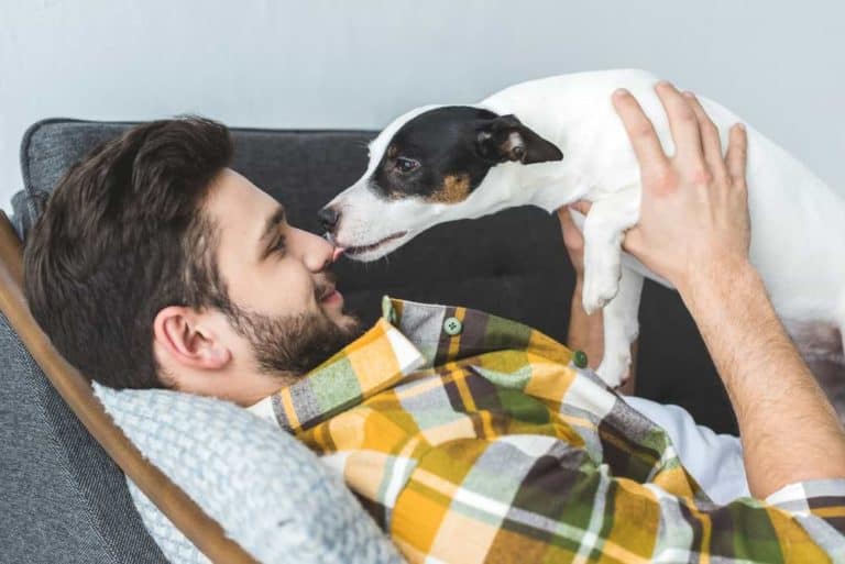 Hund leckt Herrchen