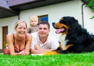 Hundehaftpflichtversicherung