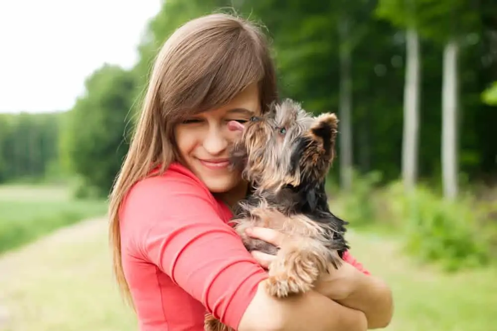 Hunde lecken auch aus Liebe