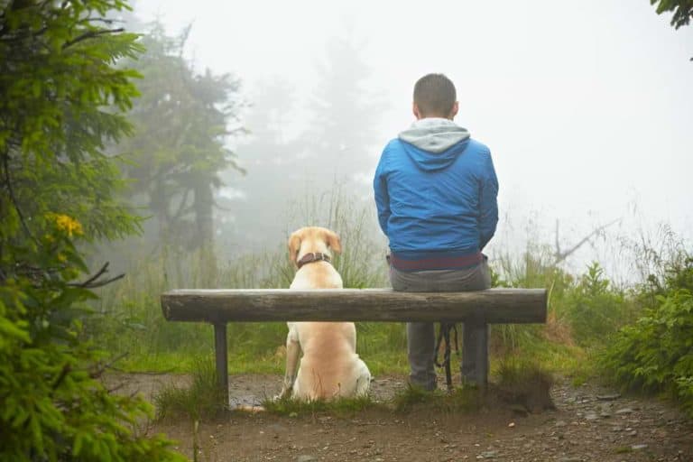 Nachhaltig leben mit Hund