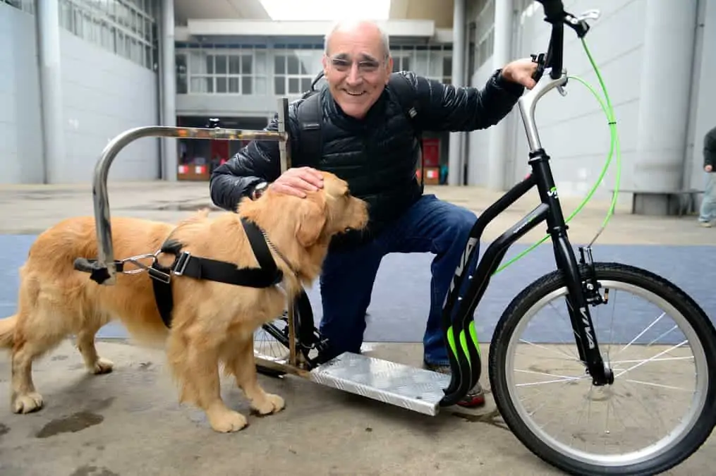 Mann mit Hund zeigt Dogscooter