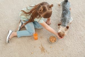 Dürfen Hunde Nüsse fressen?