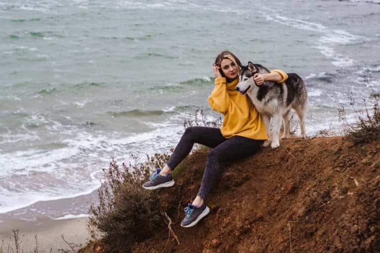 Hundefutter im Urlaub