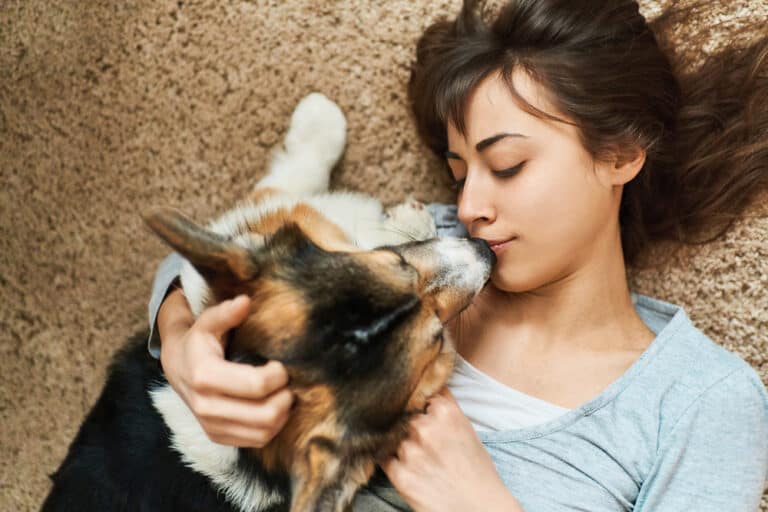 Mundgeruch beim Hund