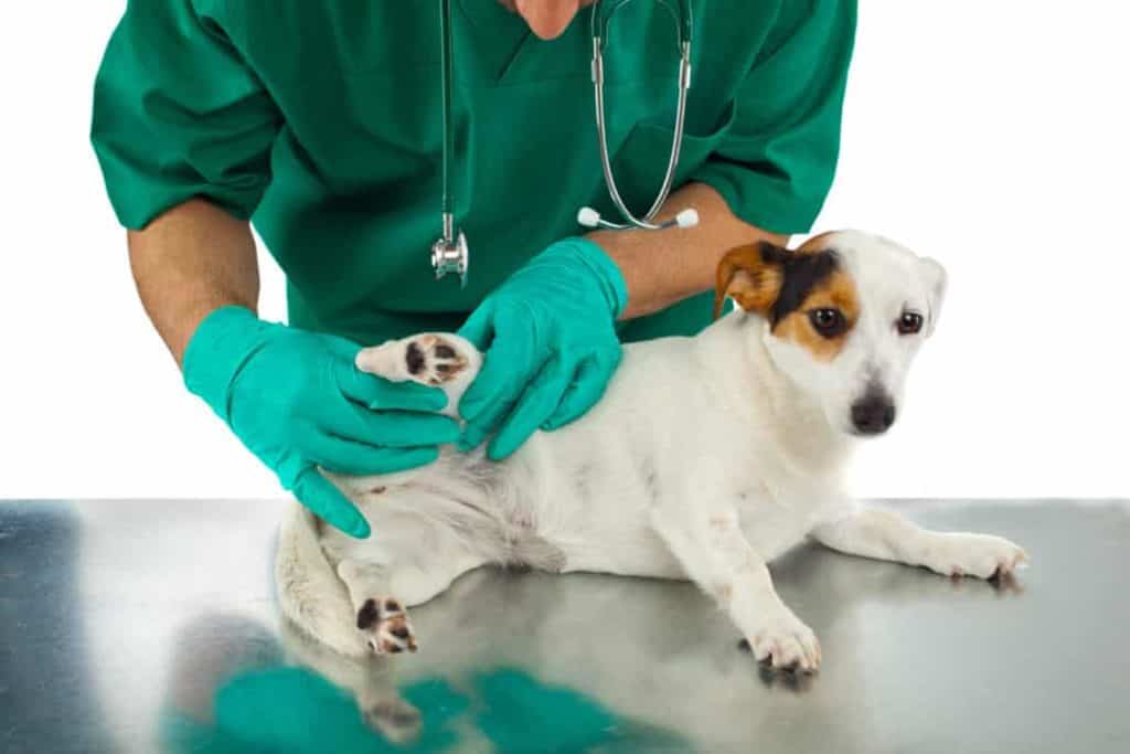 Medical Training