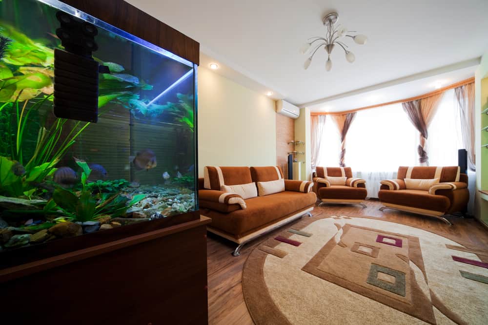 Aquarium im Wohnzimmer