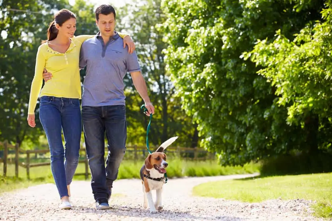 Ehepaar führt Hund spazieren
