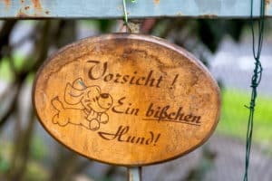 Hunde OP Versicherung