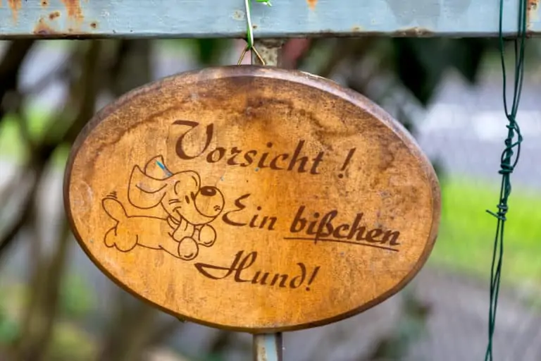 Hunde OP Versicherung