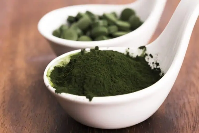 Chlorella für Hunde