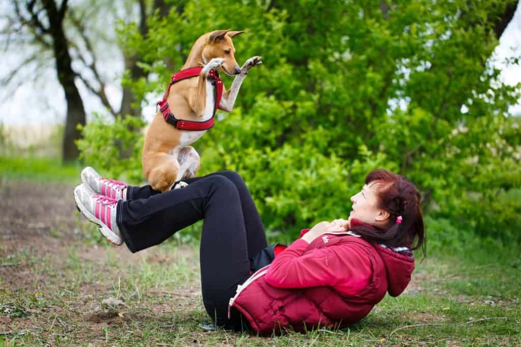 Dogdancing Intensive MenschHundBeziehung beim Tanzen