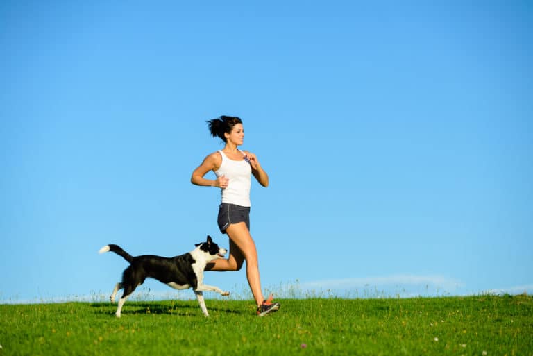 Joggen mit dem Hund