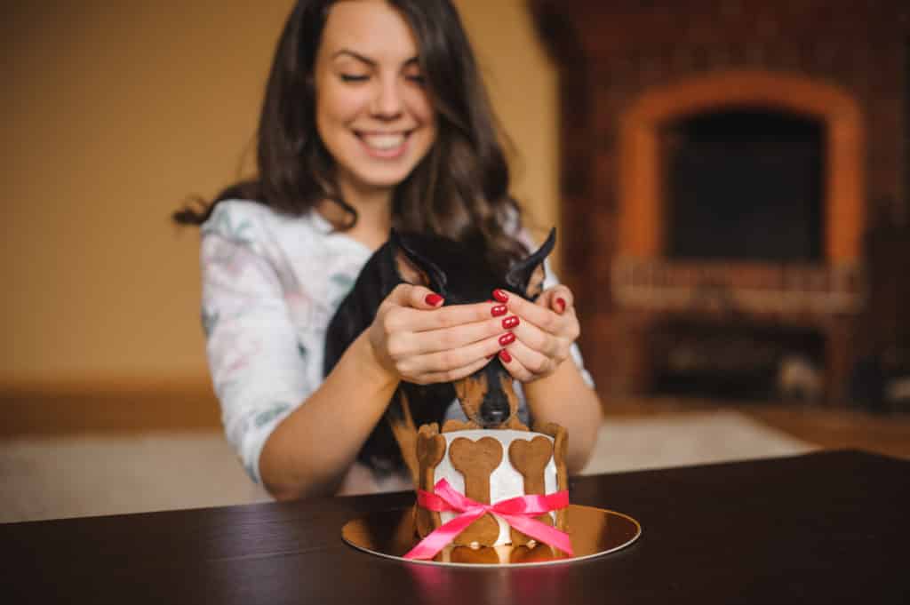 Hundekekse zum Hundegeburtstag Frau hält Hund vor Kuchen mit selbst gebackenen Hundekeksen Augen
