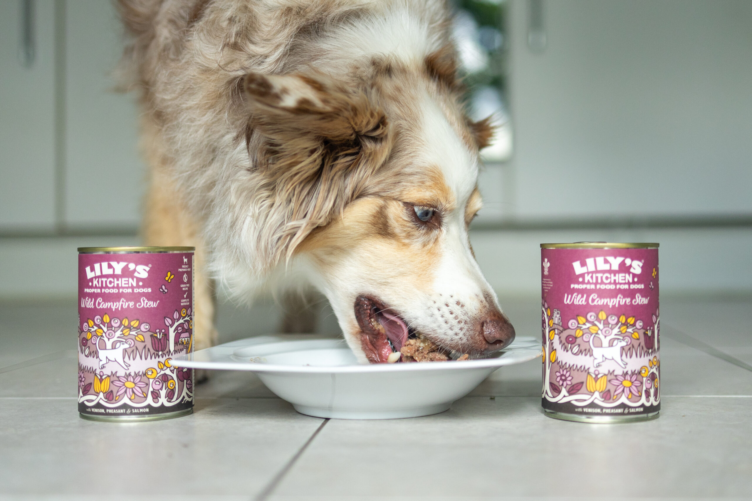 Lily's Kitchen Hundefutter Nassfutter Erfahrungen