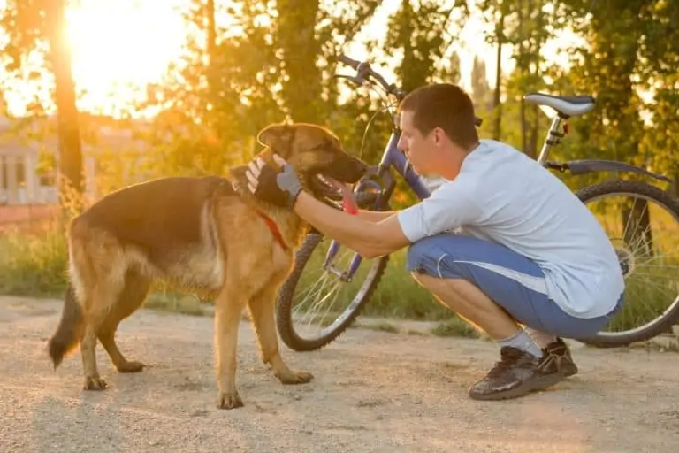 Fahrrad fahren mit Hund