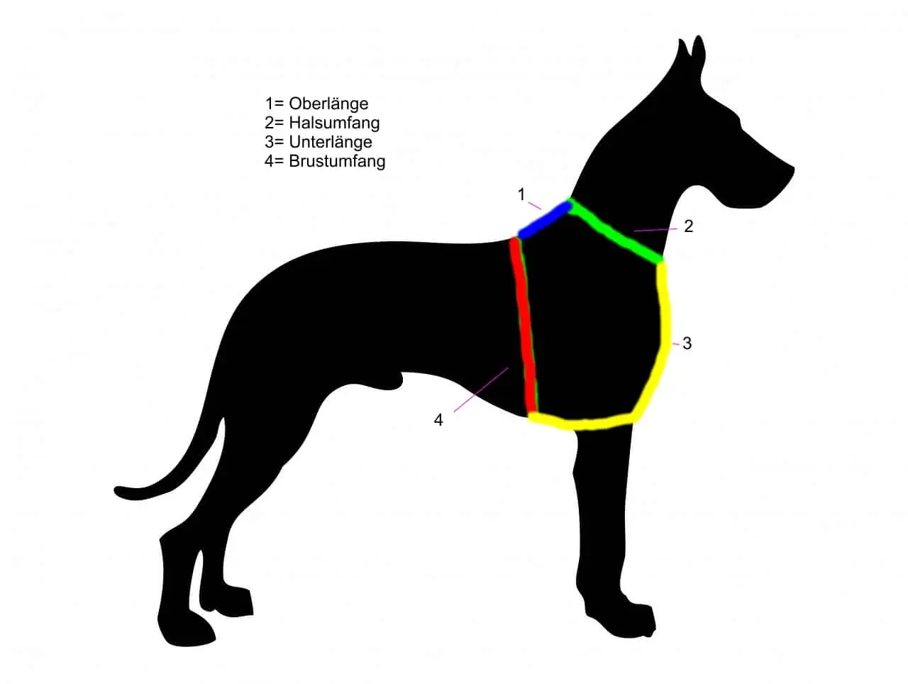 Ausmessen der richtigen Hundegeschirr Größe