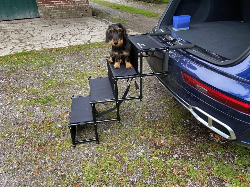 Hundetreppe Auto – Die Besten Hundetreppen 2022 – Testbericht