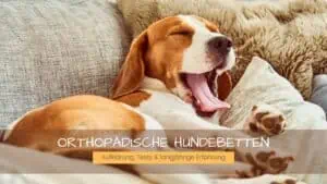 Orthopädisches Hundebett