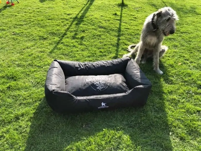 Outdoor Hundebett von Knuffelwuff