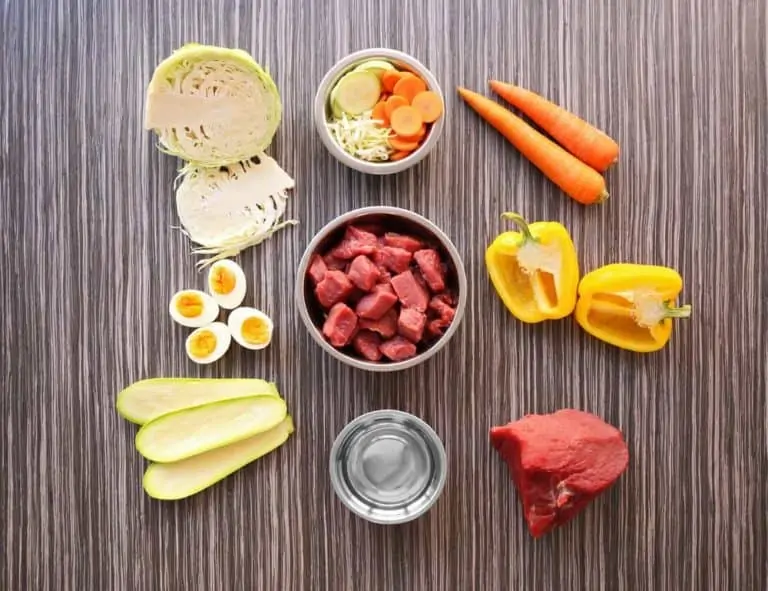 Schonkost für Hunde richtig zubereiten