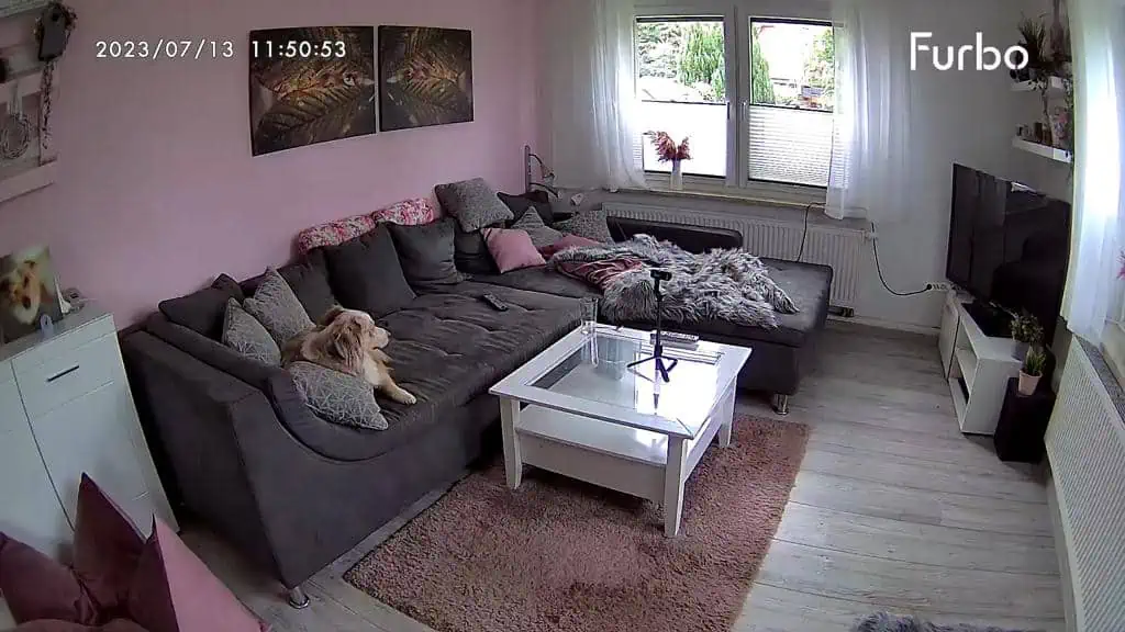 Furbo 360° Dog Hundekamera im Test 08/2023