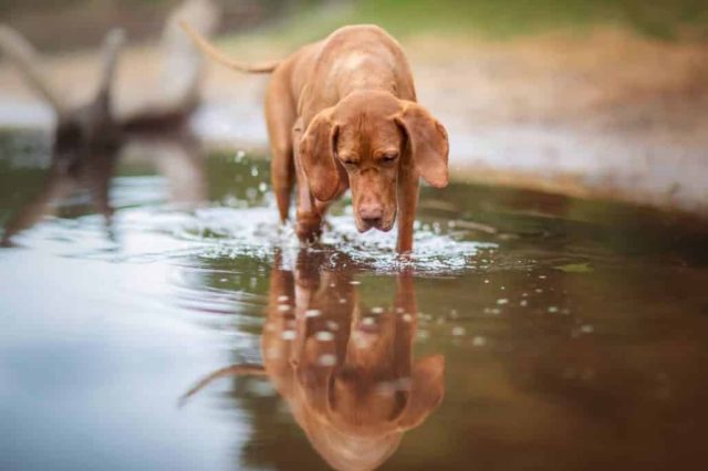 Gefahren im Wasser