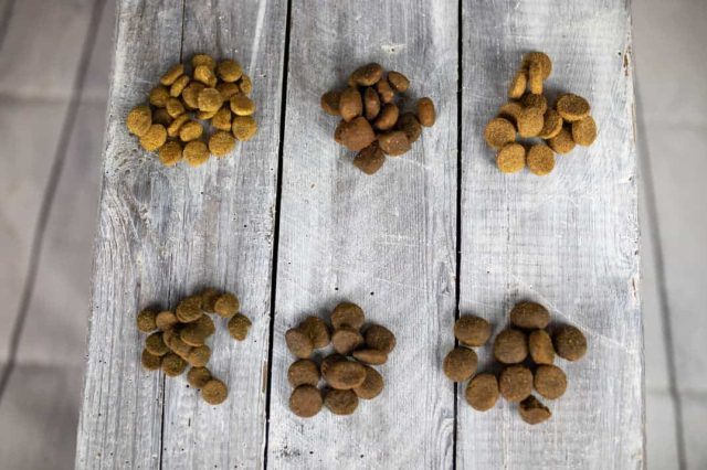 Trockenfutter im Praxistest