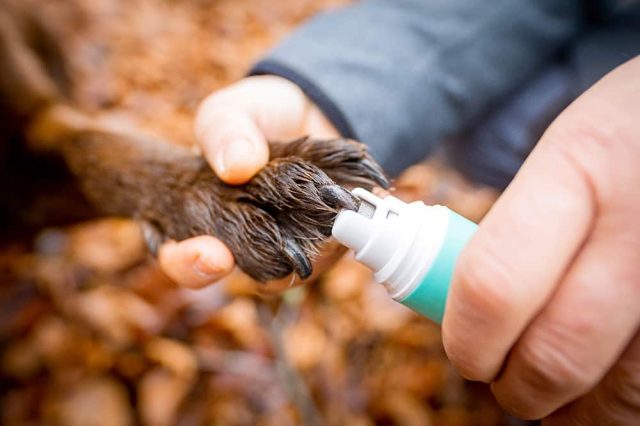 Krallenschleifer für Hunde im Test
