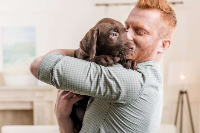 Erstausstattung für Hunde