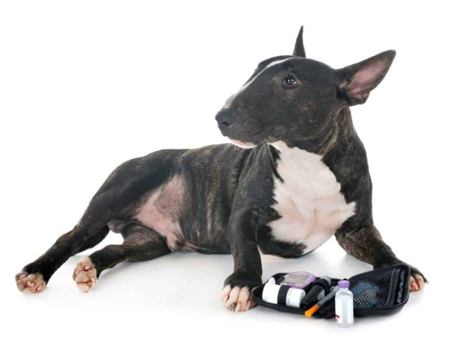 Diabetes mellitus