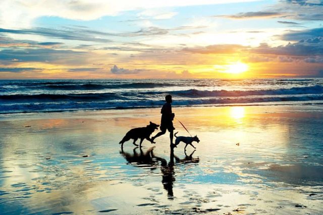Urlaub mit Hund in Deutschland