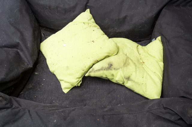 Hundebett richtig reinigen