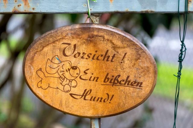 Hunde OP Versicherung
