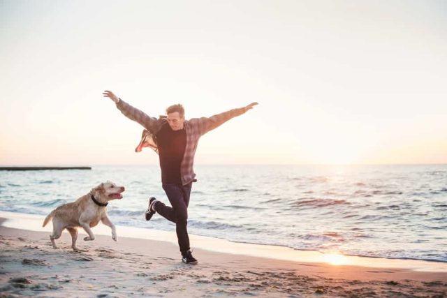 Immunsystem beim Hund
